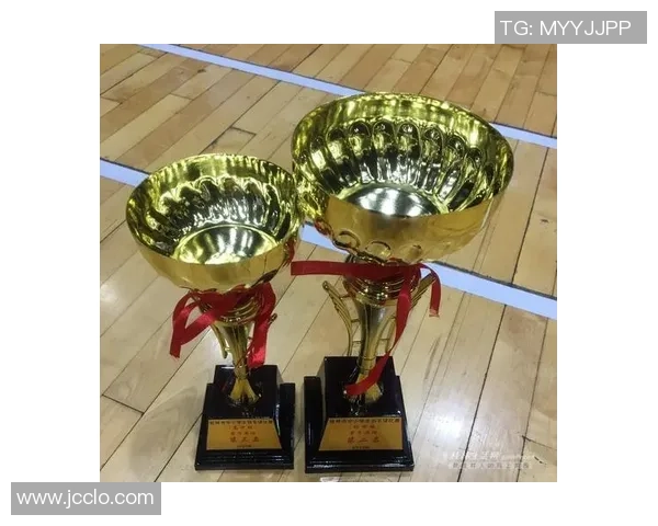 南京羽毛球队在总决赛中以77分高居榜首展现强大实力